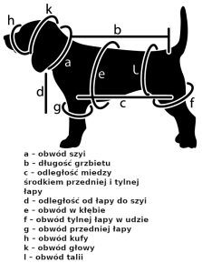 Opatrunek ramienia i podudzia